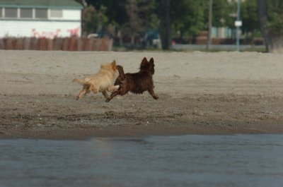 Sept8_06_173.JPG