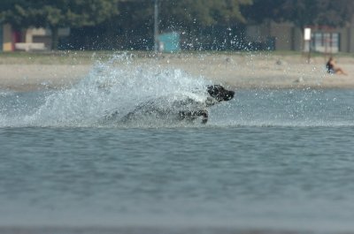 Sept8_06_182.JPG