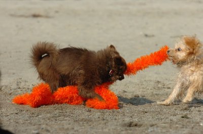 Sept8_06_020.JPG