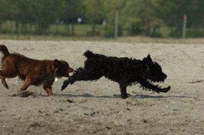 Sept8_06_029.JPG