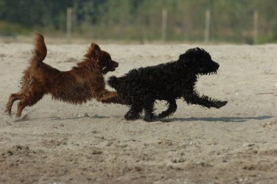 Sept8_06_030.JPG