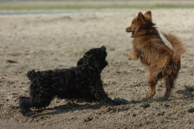 Sept8_06_034.JPG