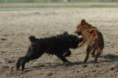 Sept8_06_035.JPG