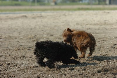 Sept8_06_036.JPG