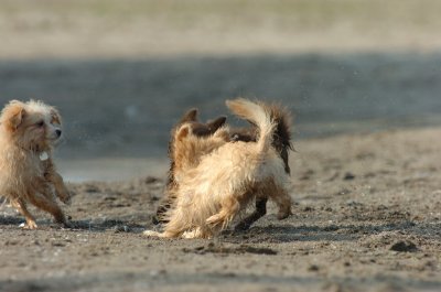Sept8_06_038.JPG