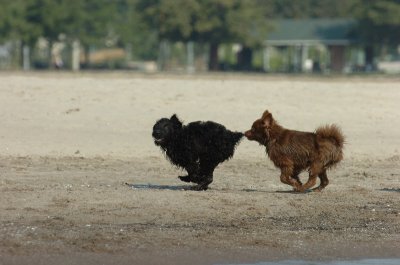 Sept8_06_042.JPG