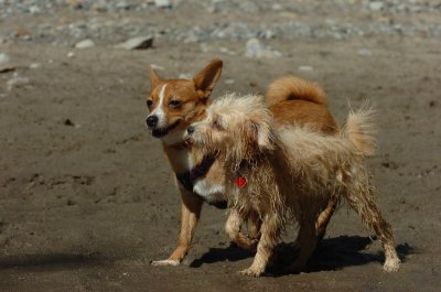 Sept10_06_336.JPG