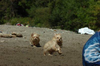 Sept10_06_346.JPG