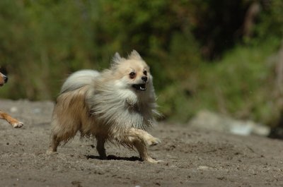 Sept10_06_359.JPG