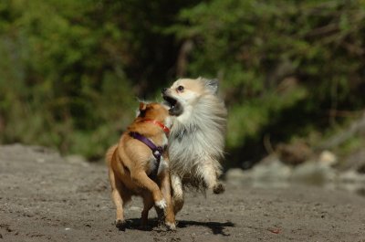 Sept10_06_361.JPG