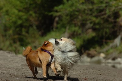 Sept10_06_362.JPG