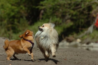 Sept10_06_364.JPG