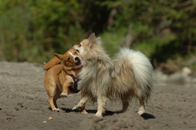 Sept10_06_366.JPG