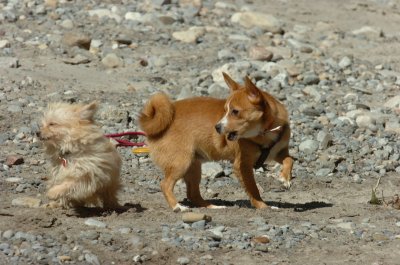 Sept10_06_374.JPG