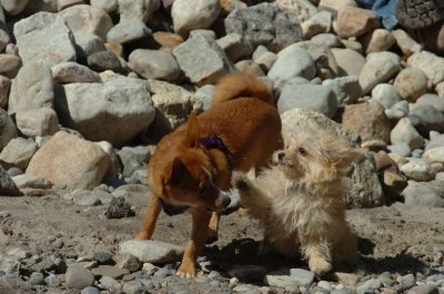 Sept10_06_378.JPG