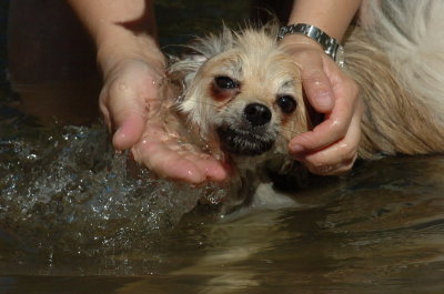 Sept10_06_380.JPG