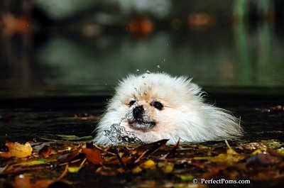 Oct21_07_624.jpg