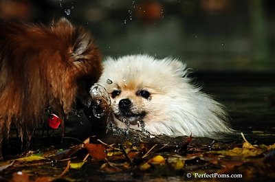 Oct21_07_627.jpg