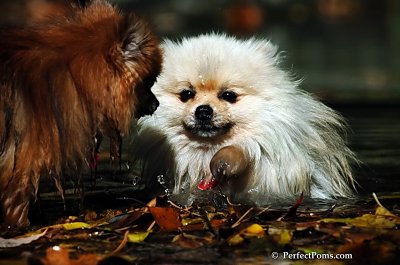 Oct21_07_628.jpg