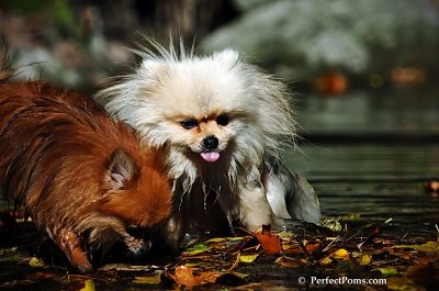 Oct21_07_635.jpg