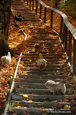 Oct21_07_690.jpg