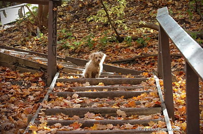 Oct21_07_695.jpg
