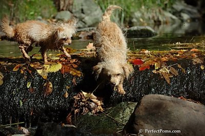 Oct21_07_316.jpg