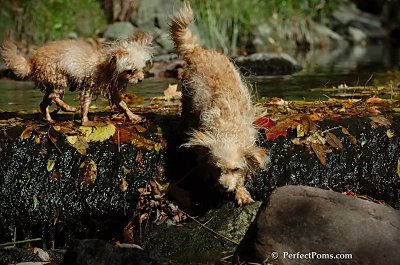 Oct21_07_317.jpg