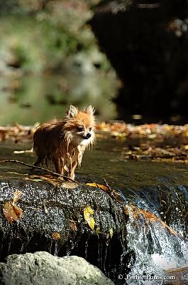 Oct21_07_319.jpg