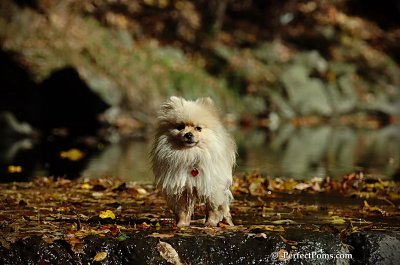 Oct21_07_353.jpg