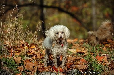 Oct21_07_117.jpg