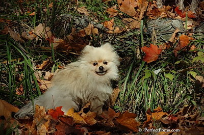 Oct21_07_118.jpg
