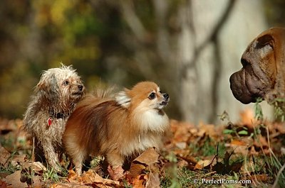 Oct21_07_121.jpg