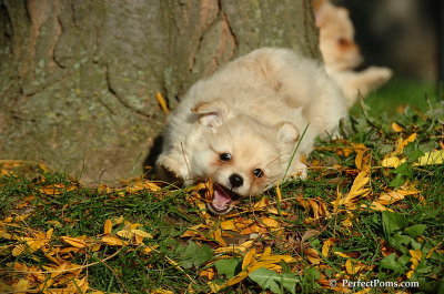 Oct30_07_050.jpg