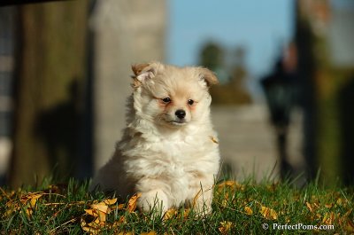 Oct30_07_057.jpg