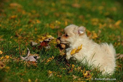 Oct30_07_097.jpg
