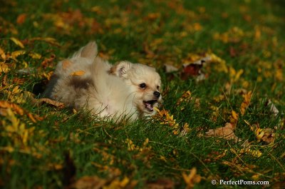 Oct30_07_102.jpg