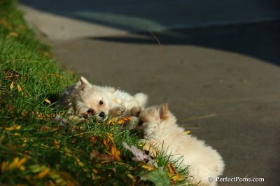 Oct30_07_107.jpg
