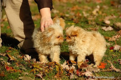 Oct31_07_478.jpg