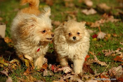 Oct31_07_485.jpg