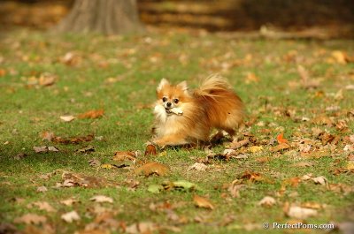 Oct31_07_488.jpg