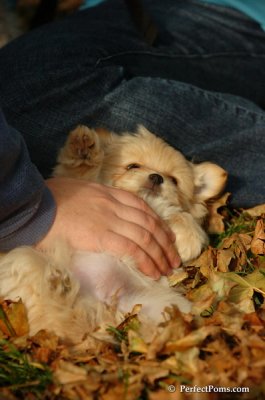 Oct31_07_507.jpg