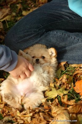 Oct31_07_508.jpg