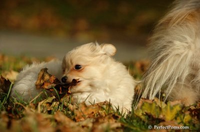 Oct31_07_528.jpg