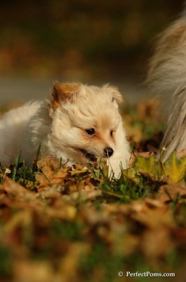 Oct31_07_530.jpg