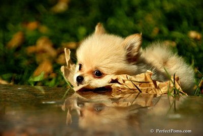 Nov2_07_281.JPG