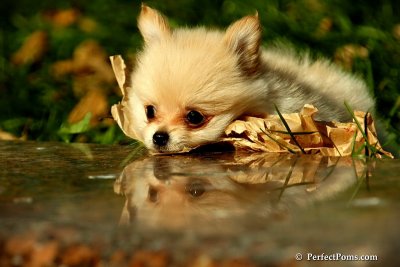 Nov2_07_282.JPG