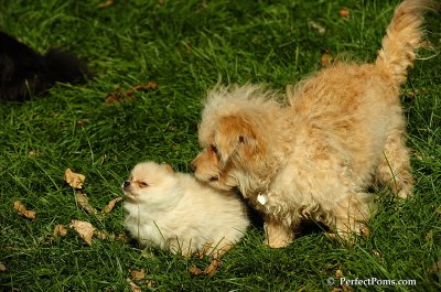 Nov2_07_312.JPG