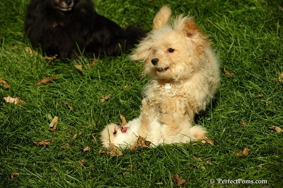Nov2_07_315.JPG