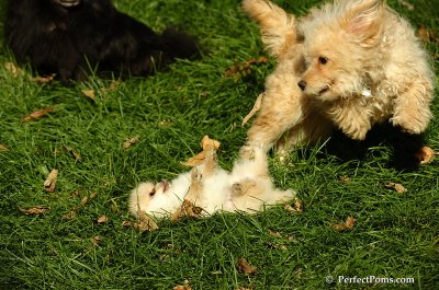 Nov2_07_316.JPG